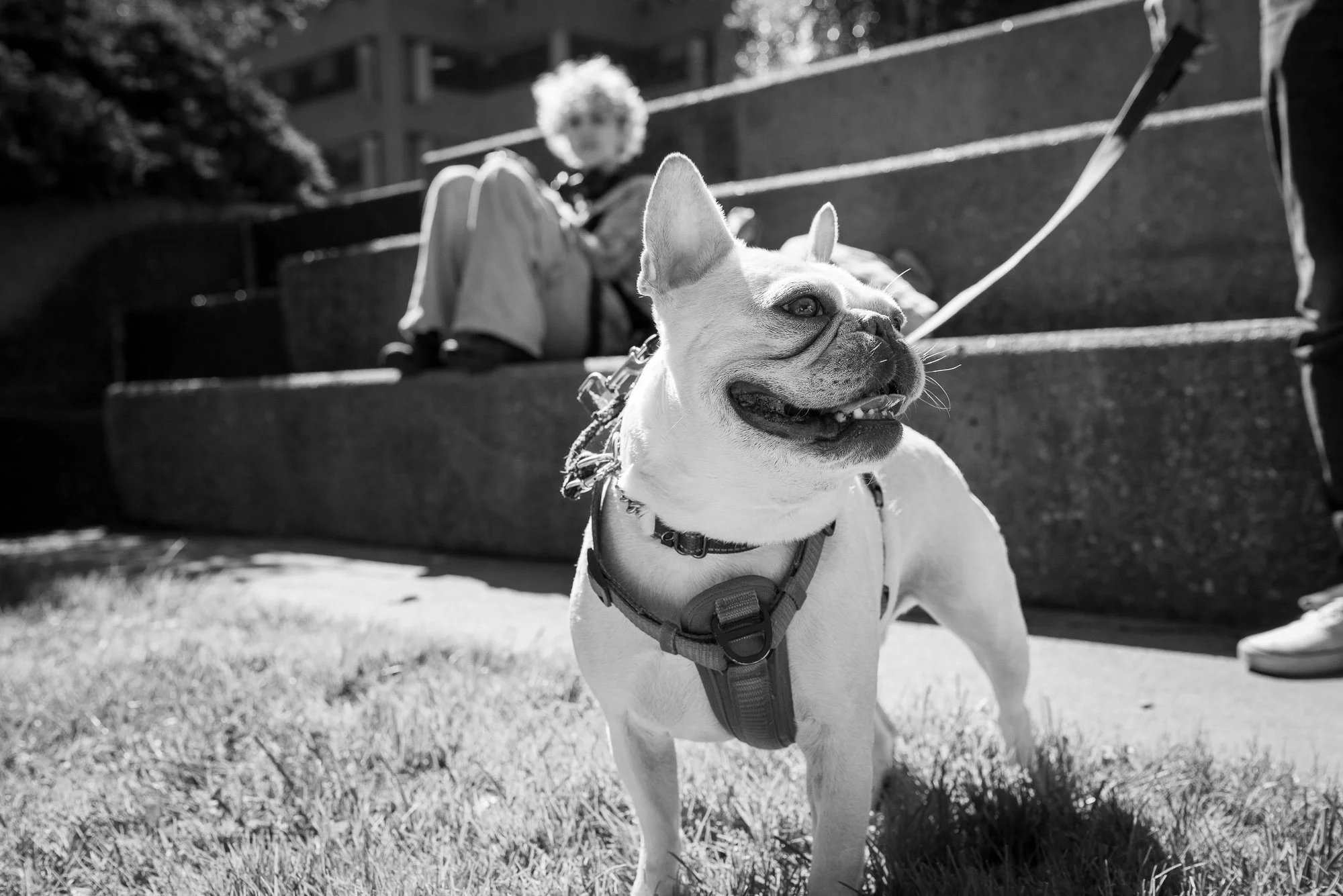 10.4.25 Family Portraits-201.jpg
