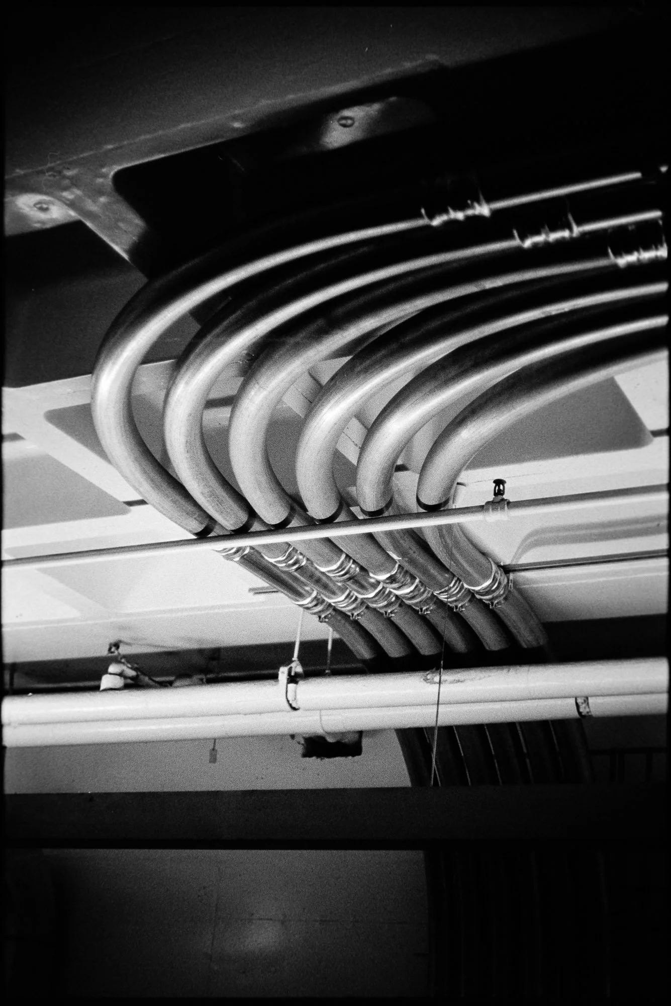 4.12.26 SF STate_TriX-6-positive