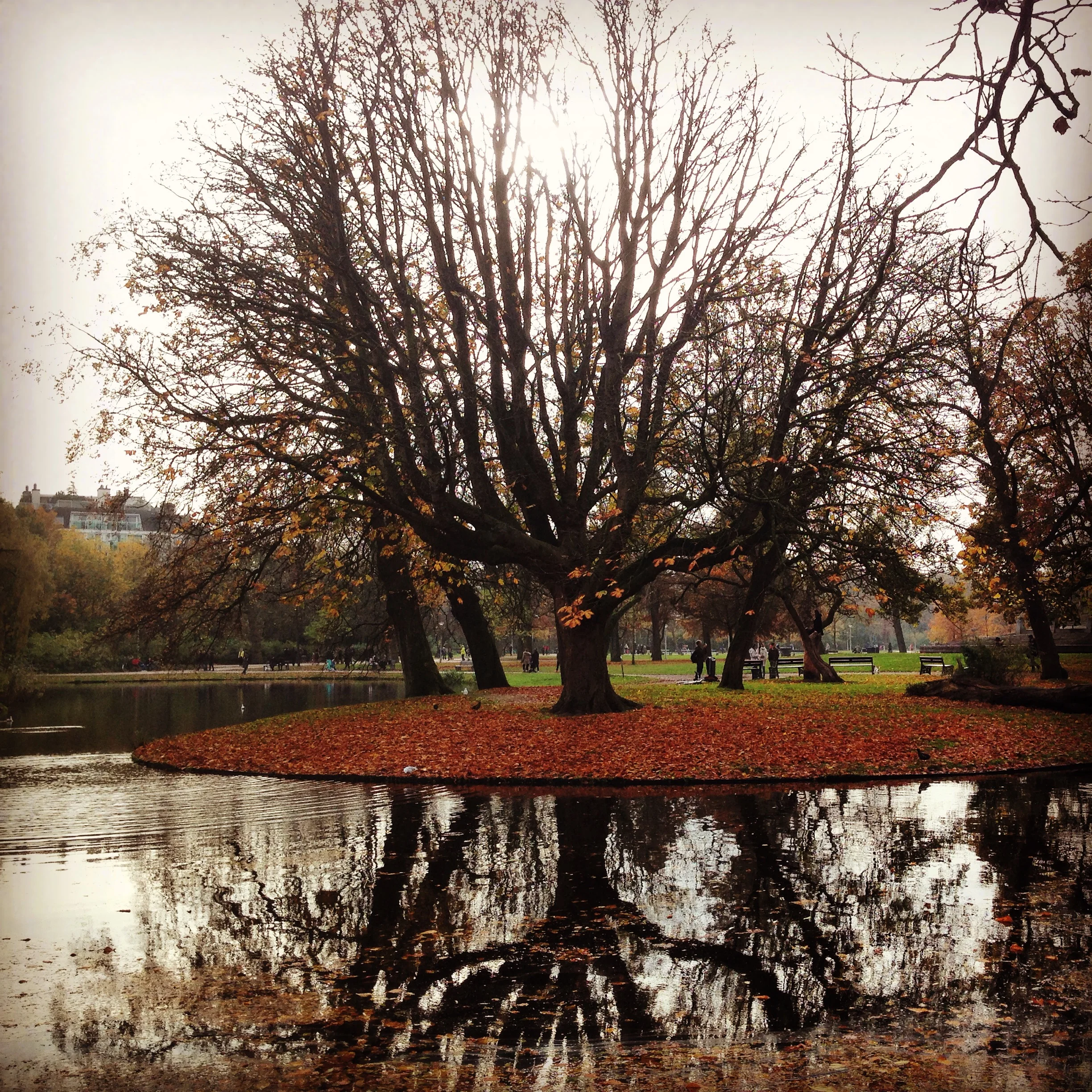 Vondelpark in early November