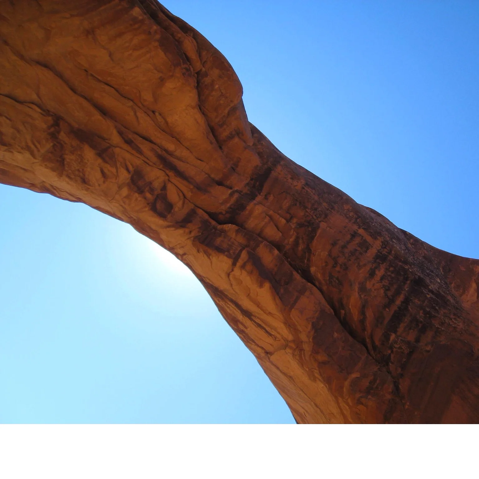 Gap Semester Consultation