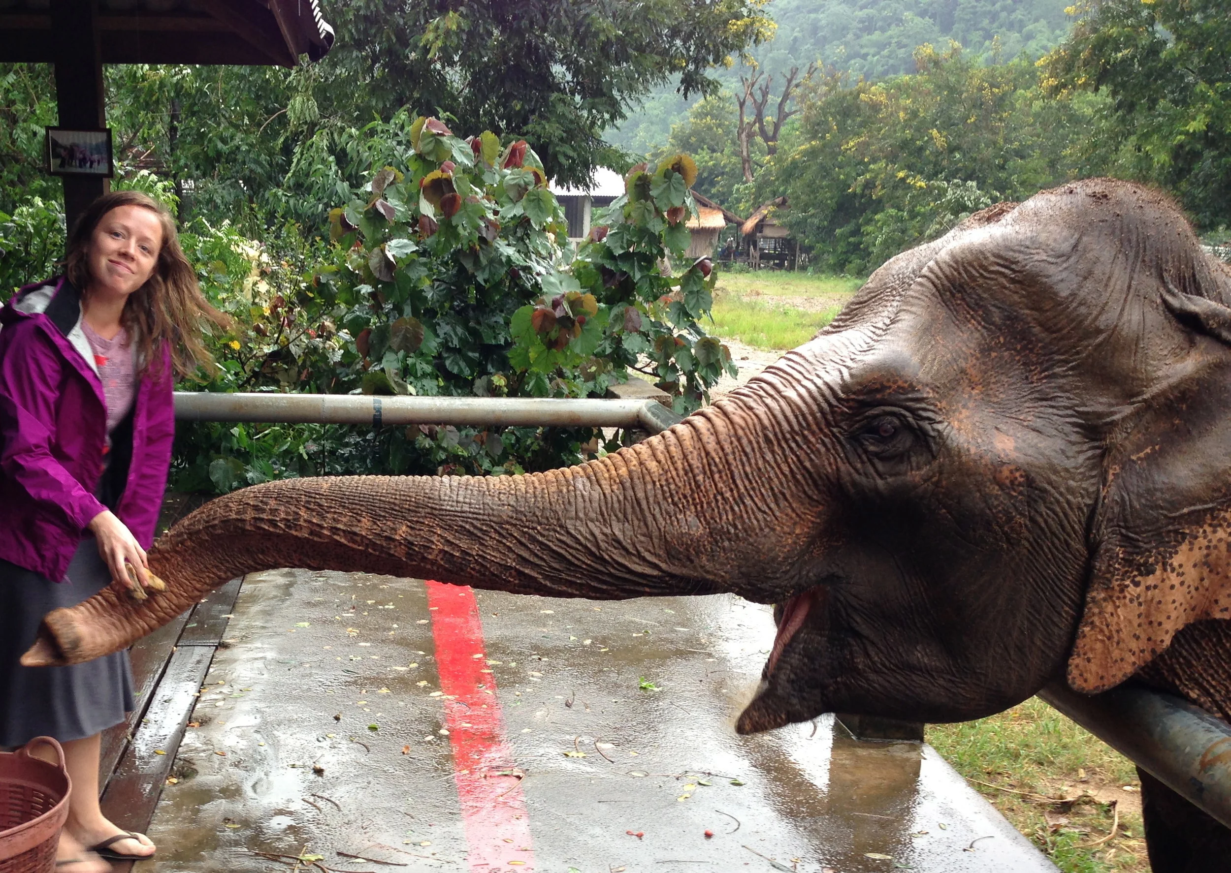 Me during a week volunteering at an elephant conservation center in Thailand