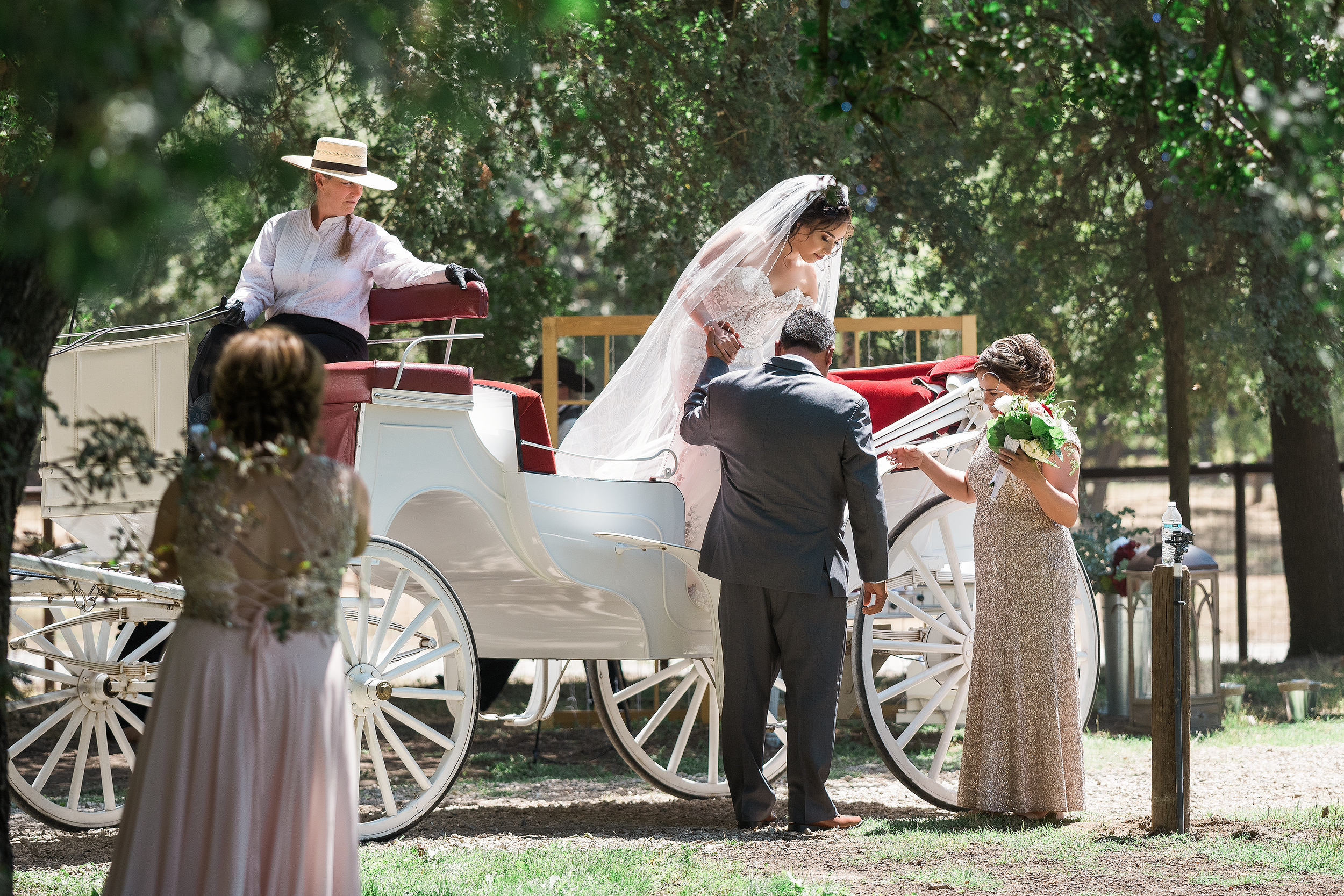 horse drawn carriage 