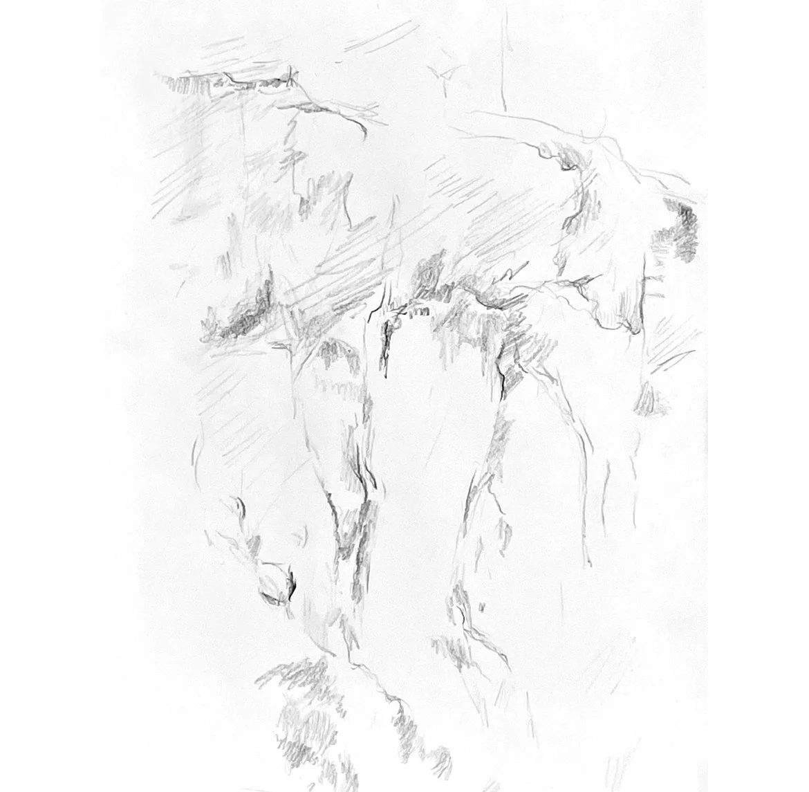 80A91E55-F359-455F-9E7A-364DB8FEDC76_1_201_a.jpg