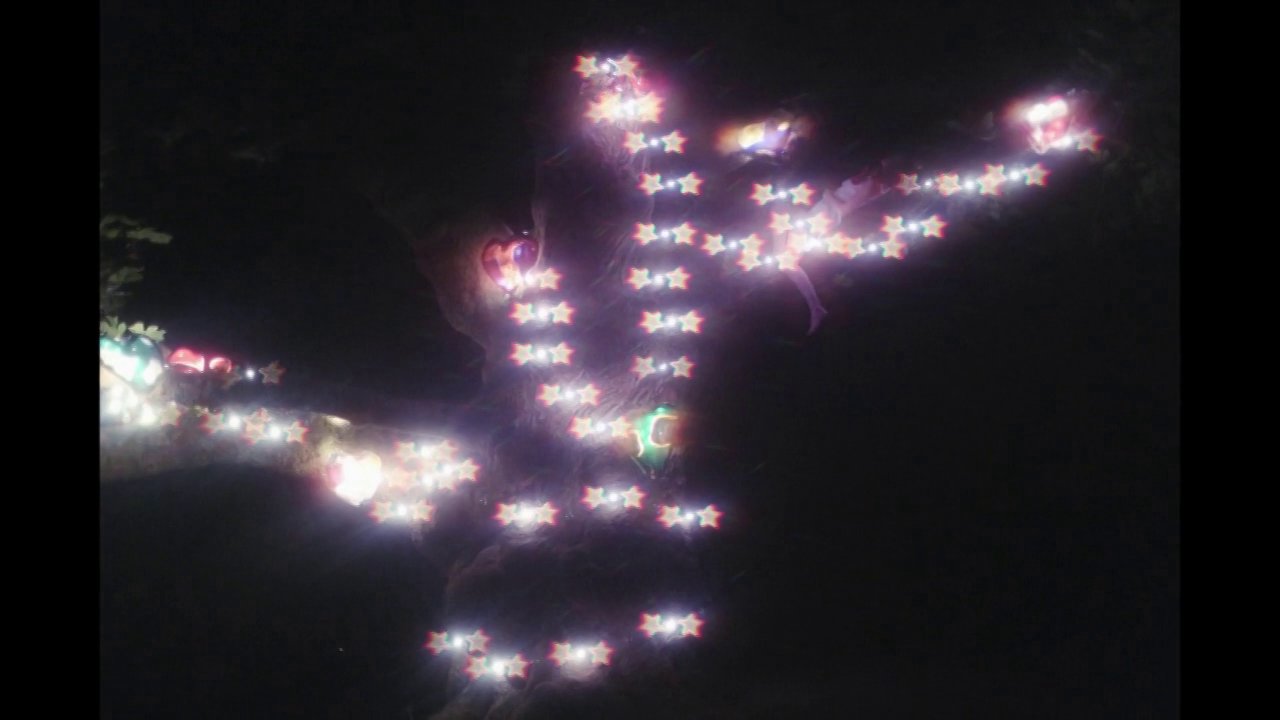 Sacred Heart