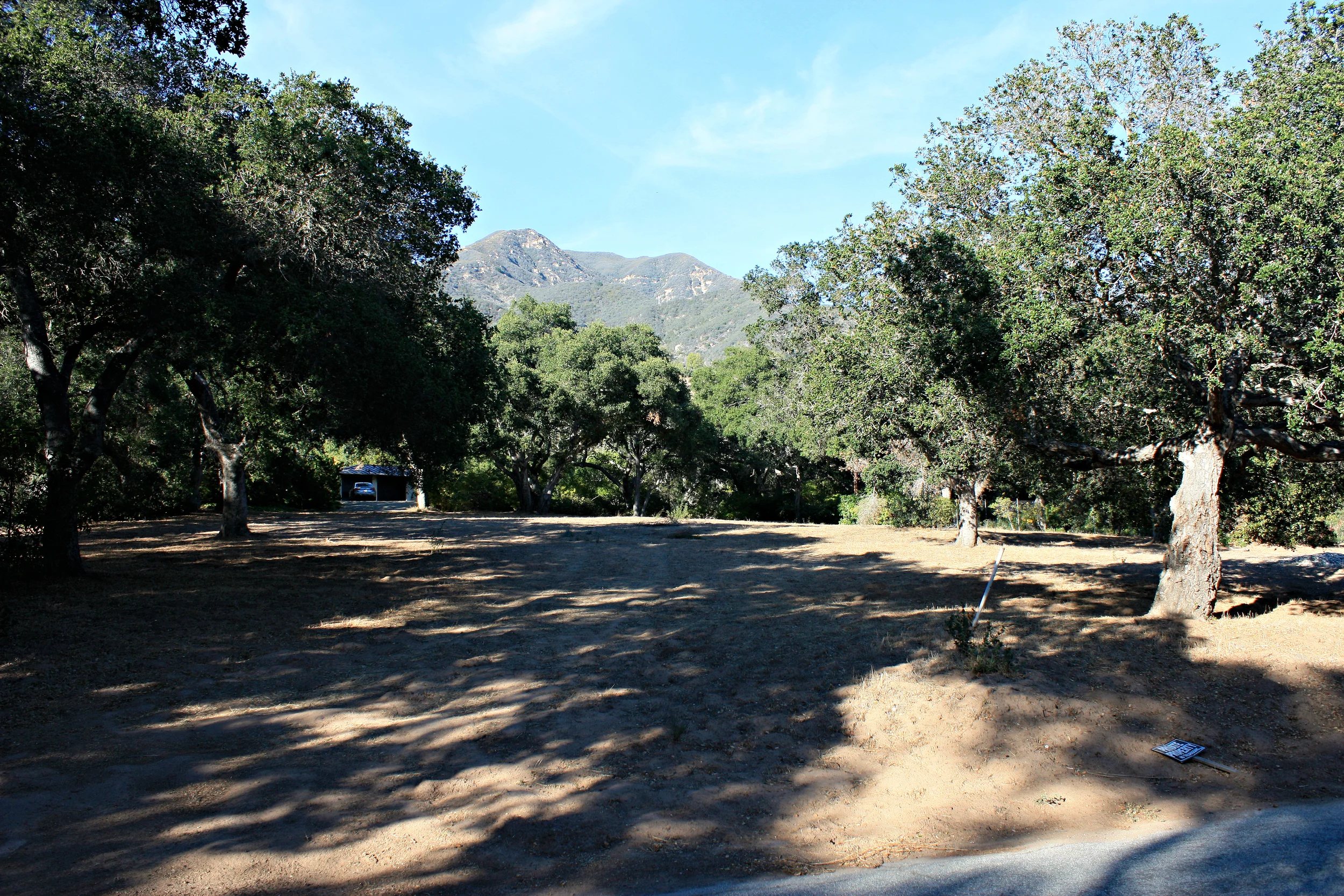 Mountain View to the North.jpg