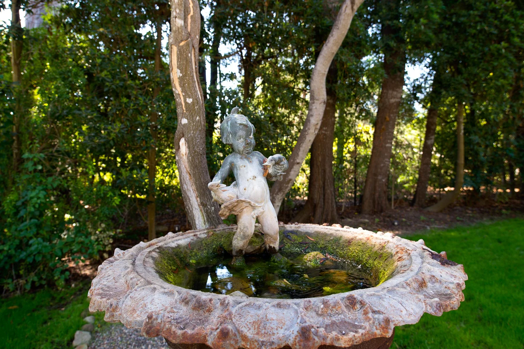 Fountain.jpg