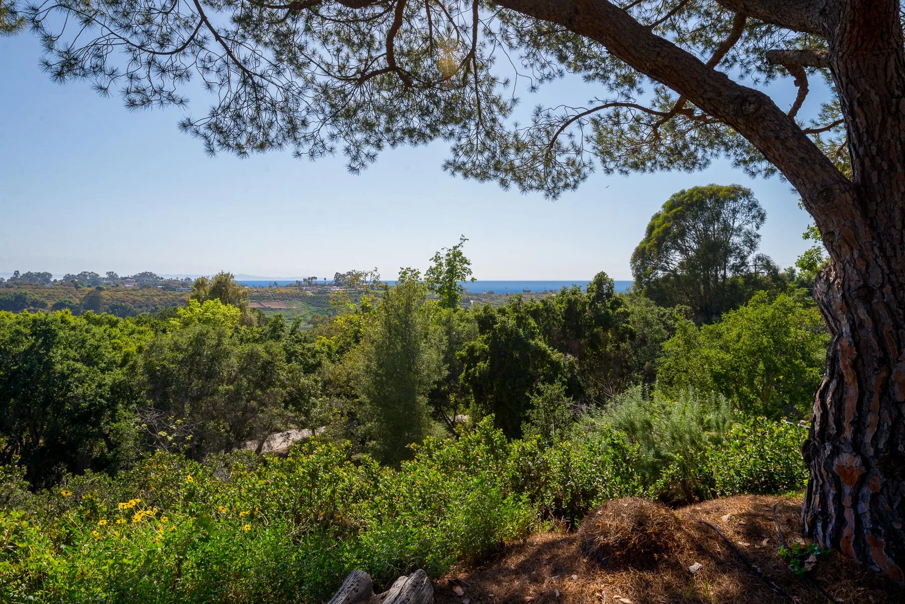 View.jpg