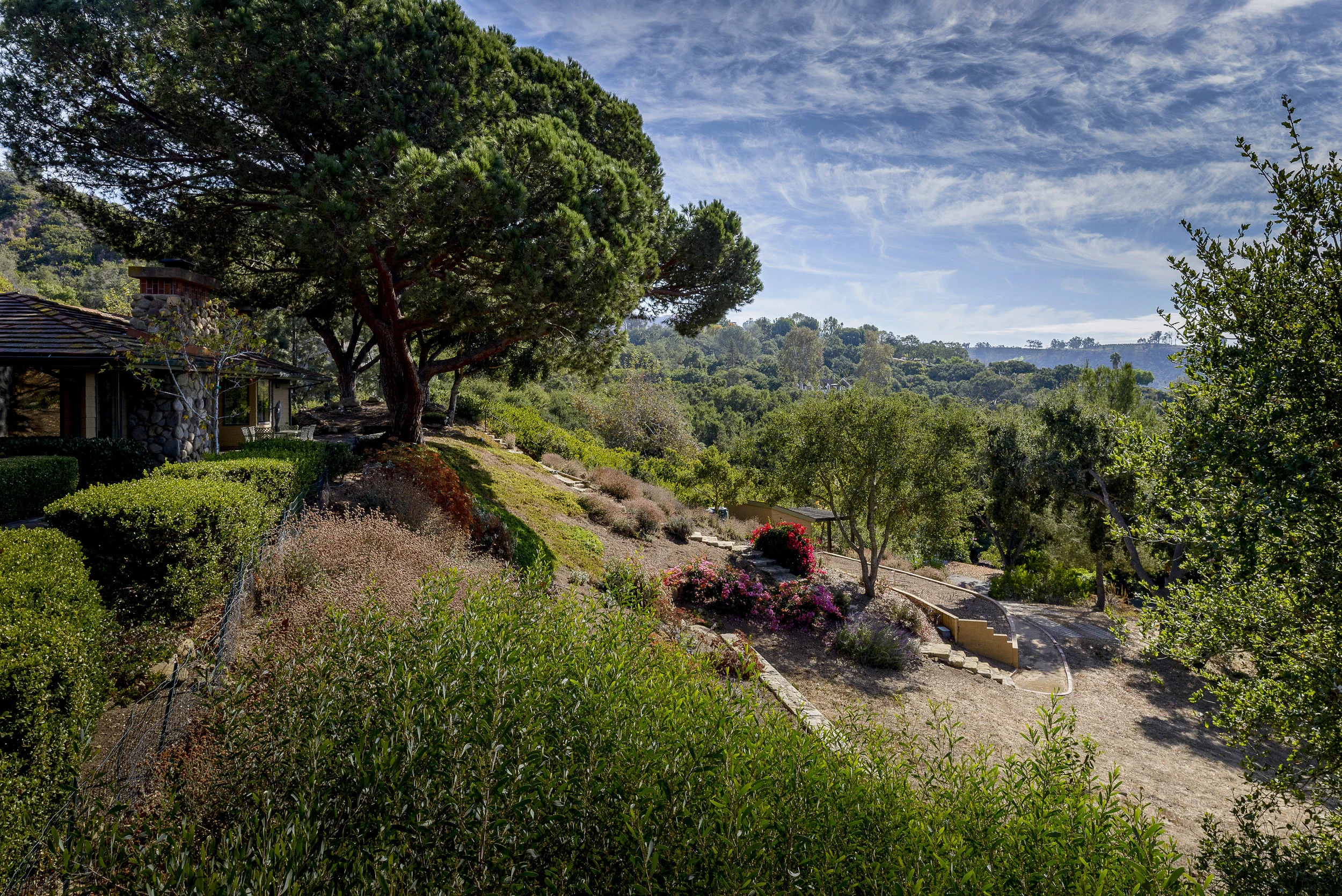 backyard wider view copy.jpg
