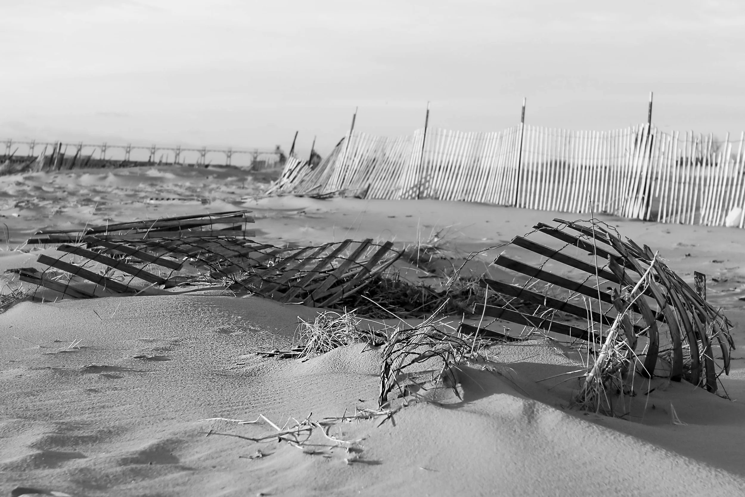 _MG_0141 as Smart Object-1.jpg