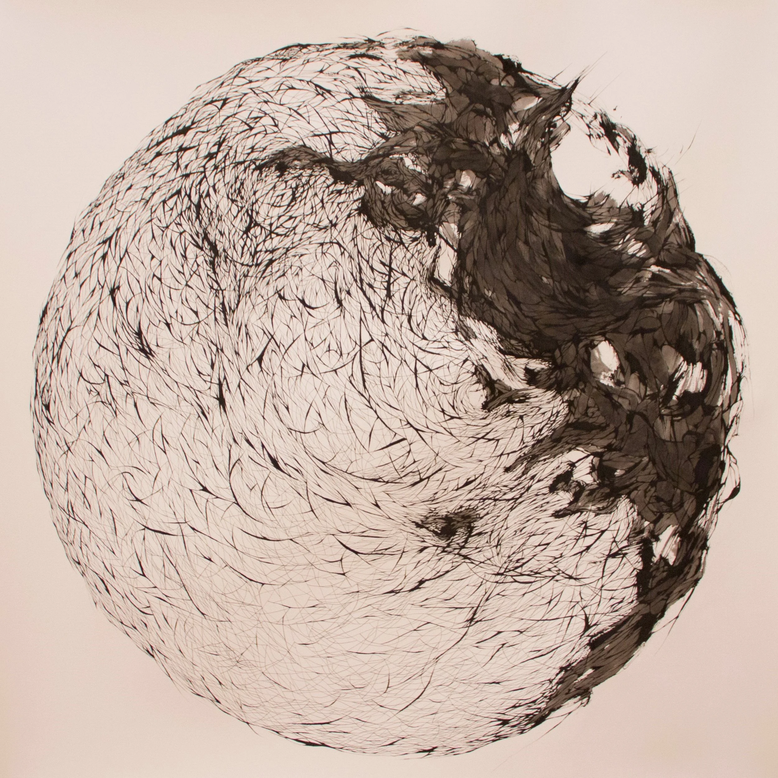 Dysnomia, 2015, ink and acrylic on paper, 53 x 53 inches