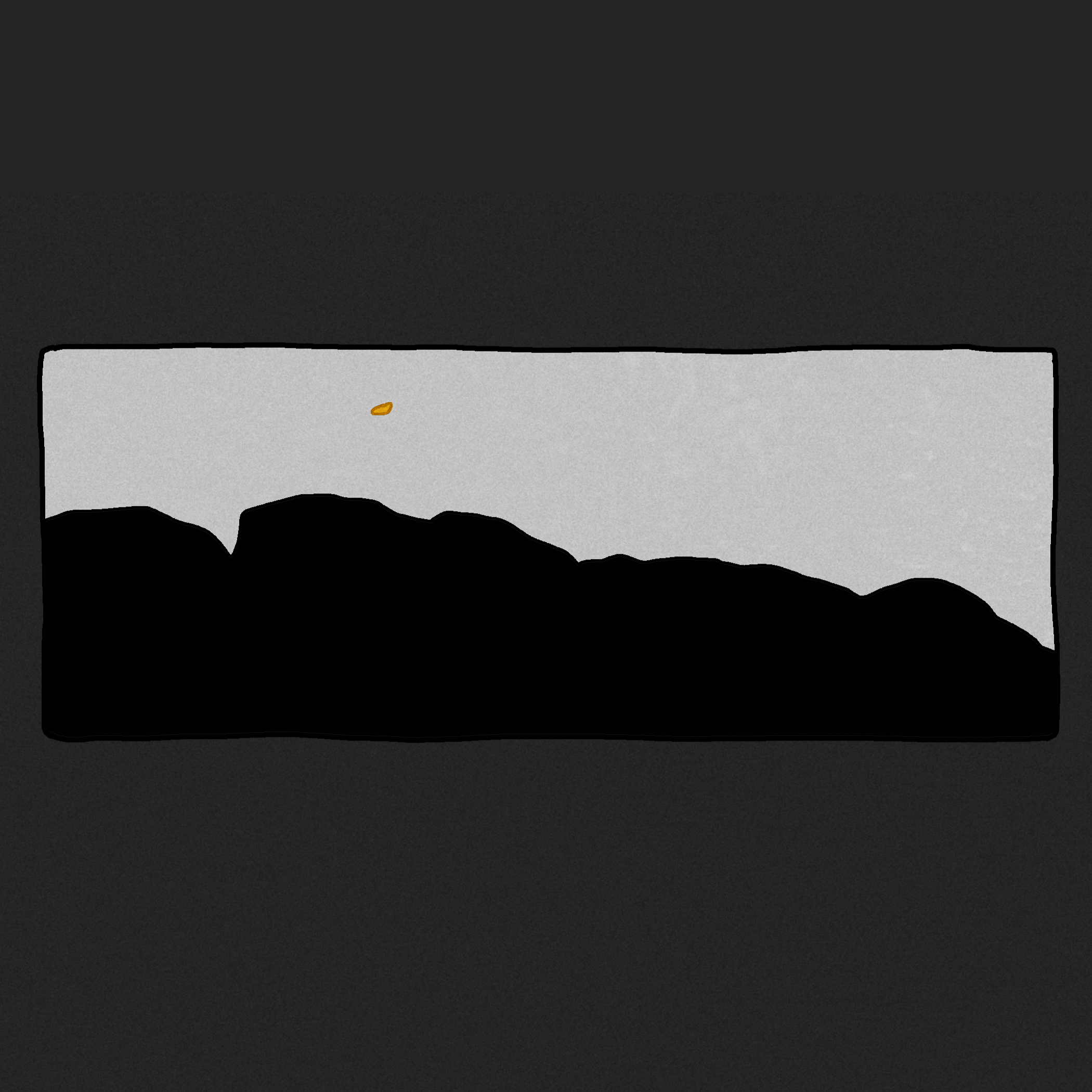 bloom_2.png