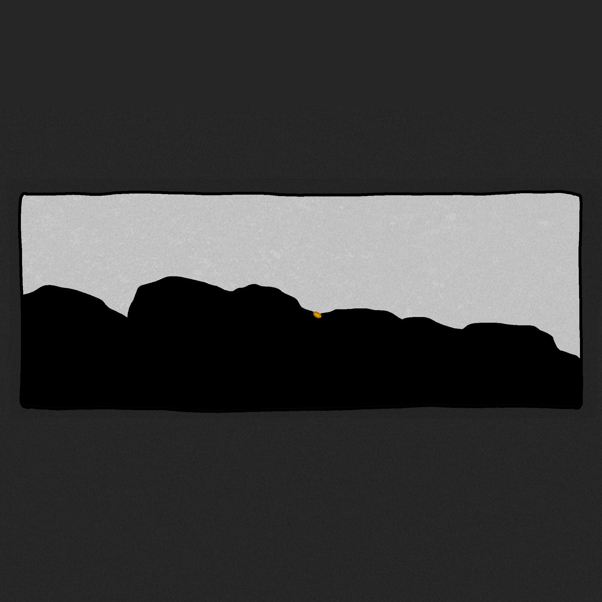 bloom_3.png