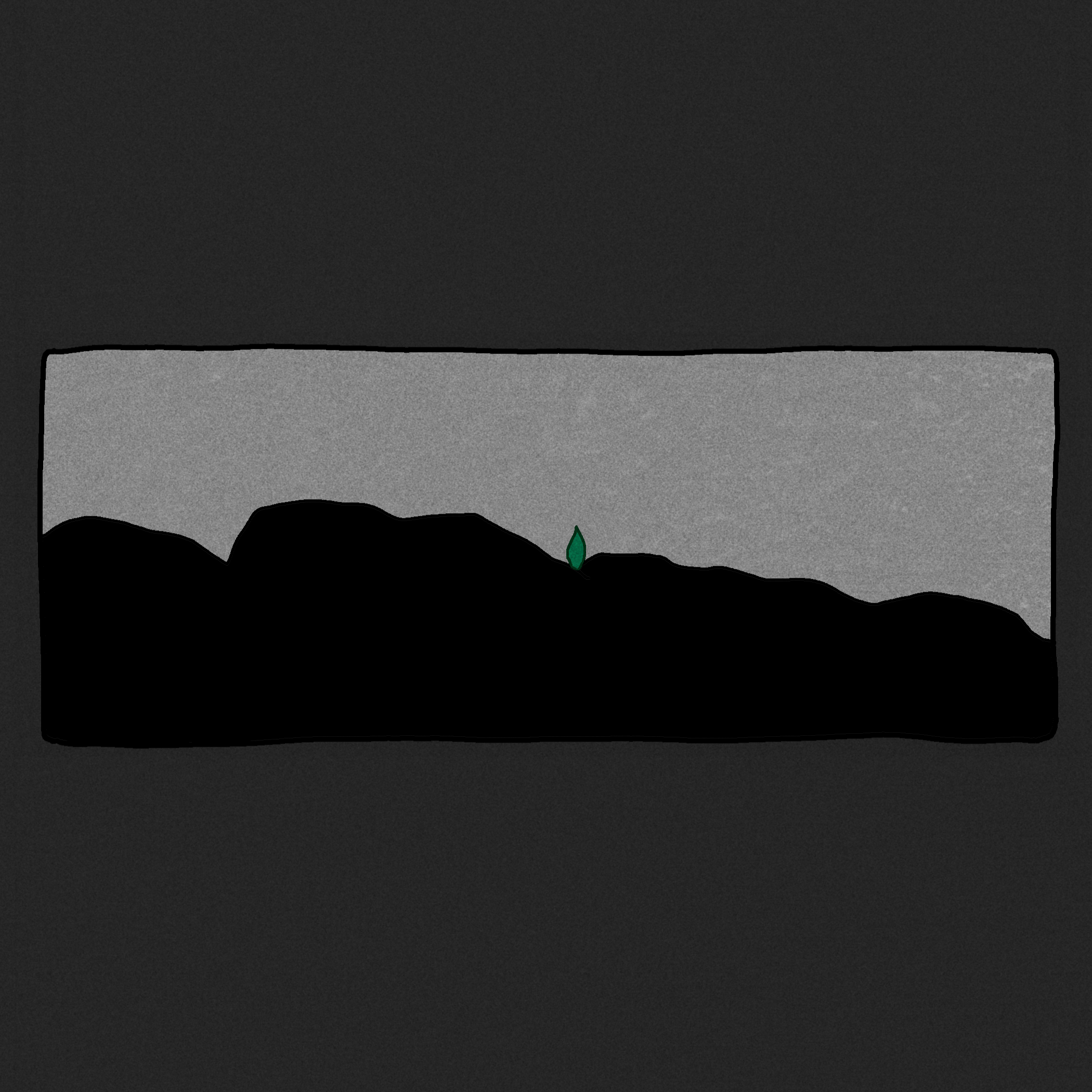 bloom_5.png