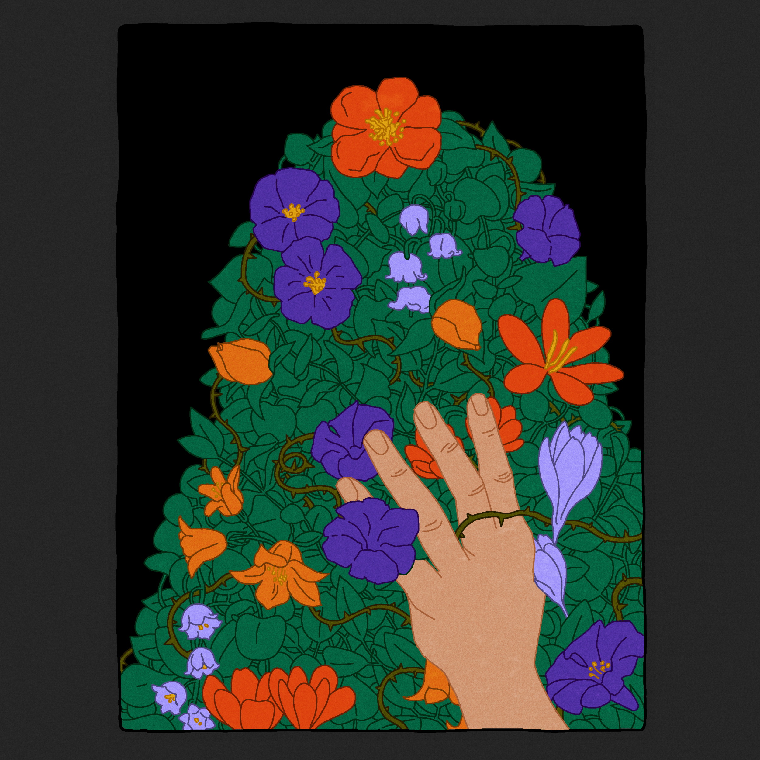 bloom_11.png