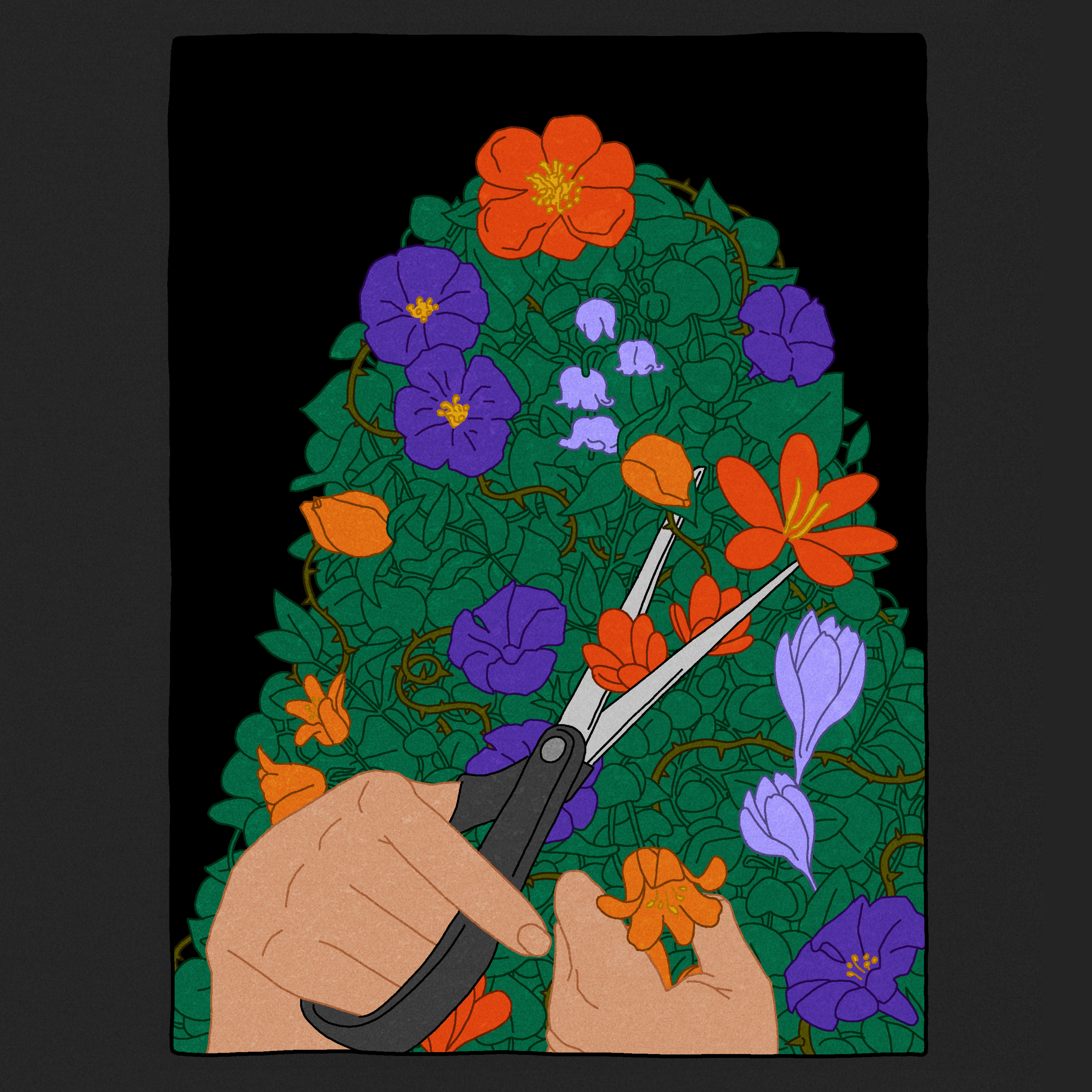 bloom_12.png