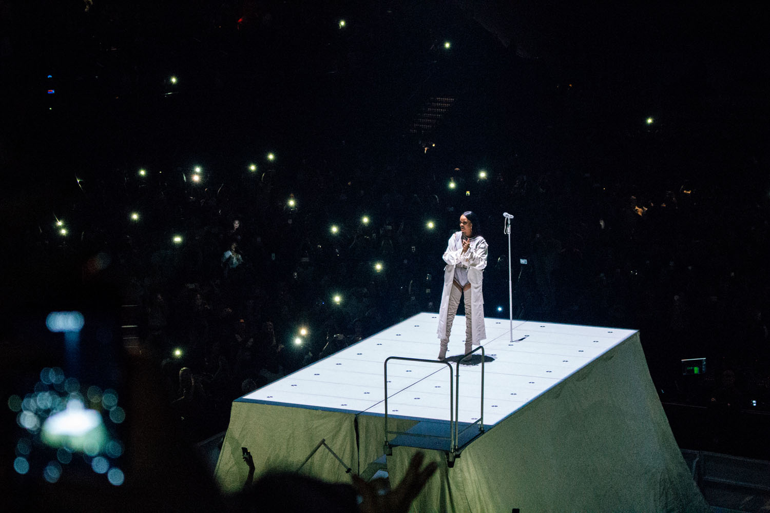 Five (Or Six) Jameson Gingers In: Watching Rihanna Live