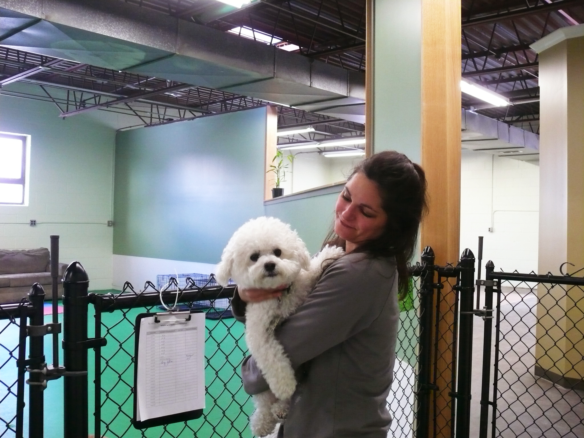 "My Lucky Dog" owner, Melissa Punchak, with one of the pals