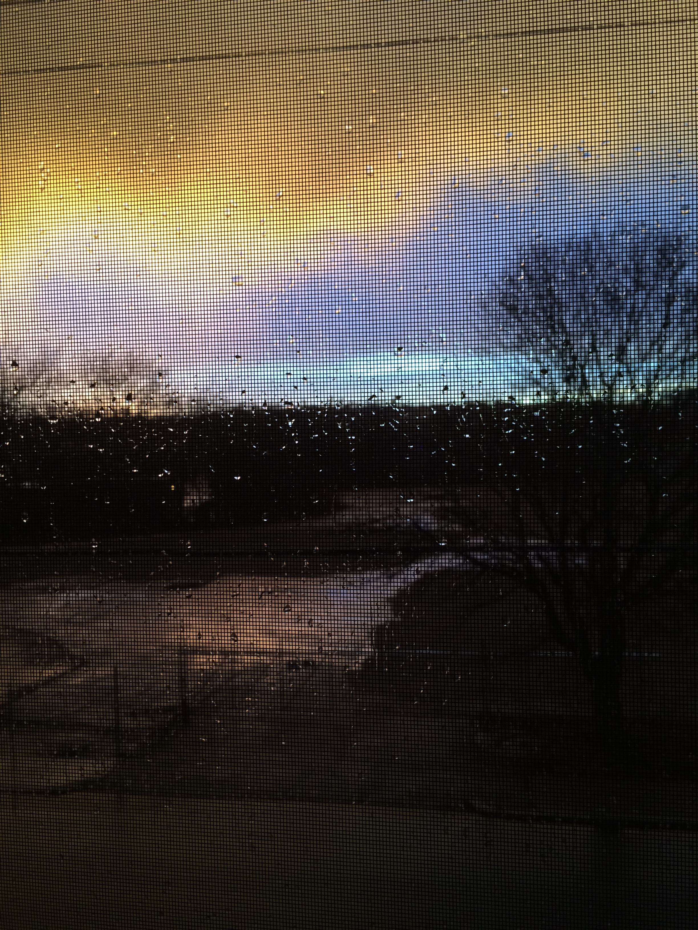 Watercolor effects, sunset was obviously a good time 