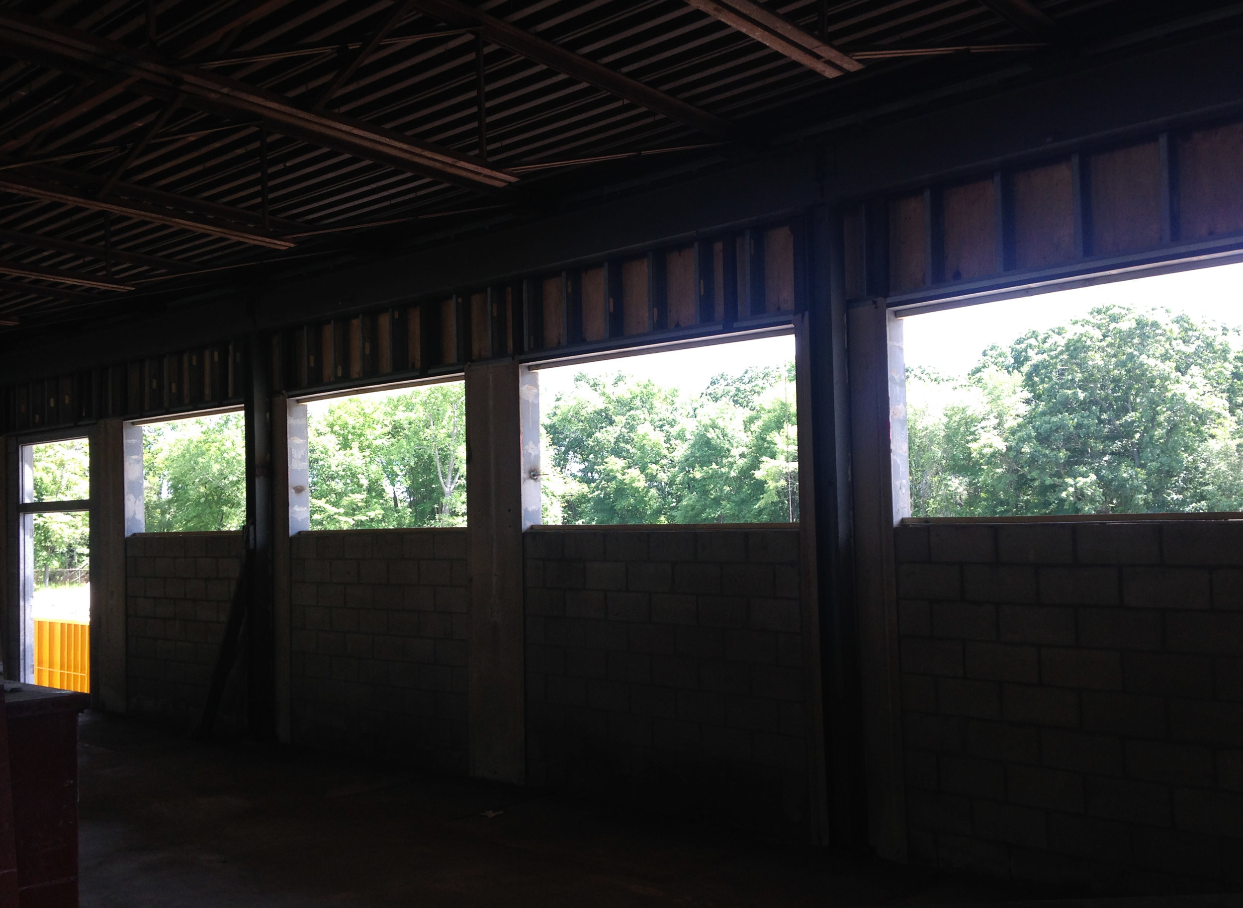 Views out onto the tree canopies from the interior, before windows were installed