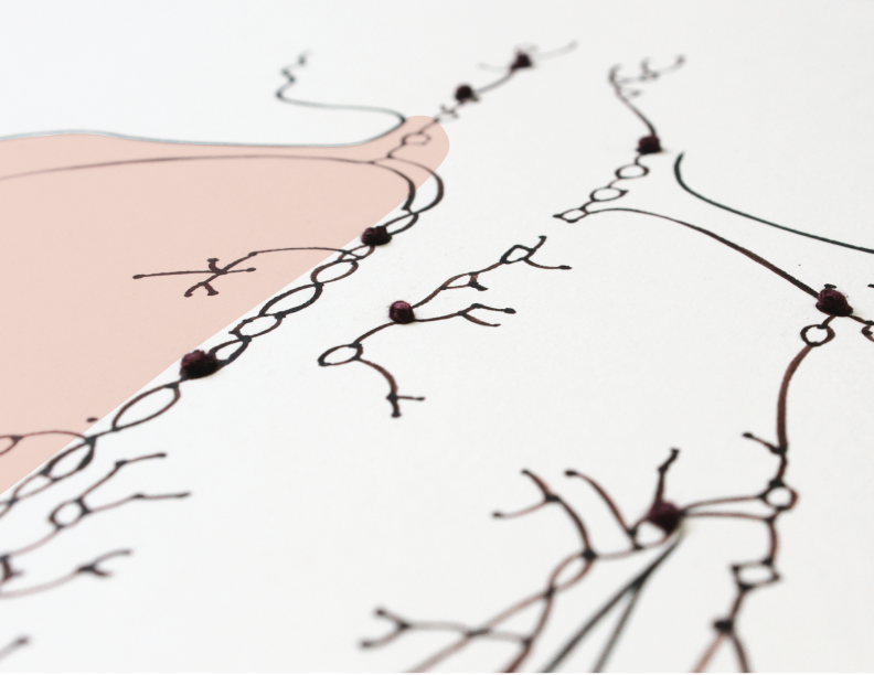 constellation-detalle01.png