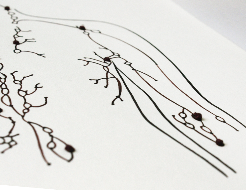 constellation-detalle02.png