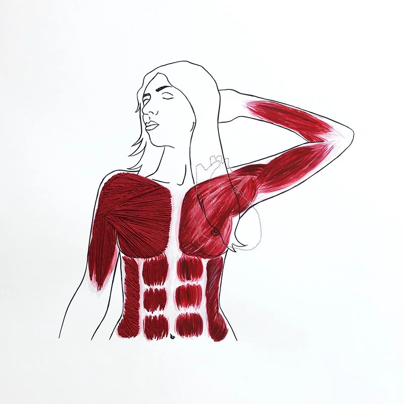 Hilda Vanessa Ramos 1-Sistema Muscular1.jpg