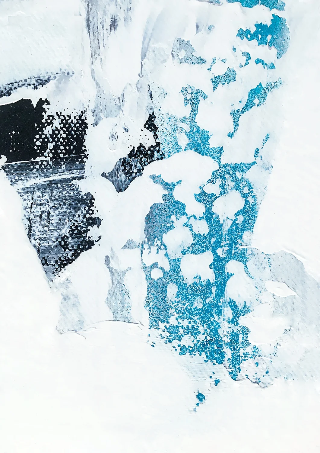 The+Shallows+small.jpg