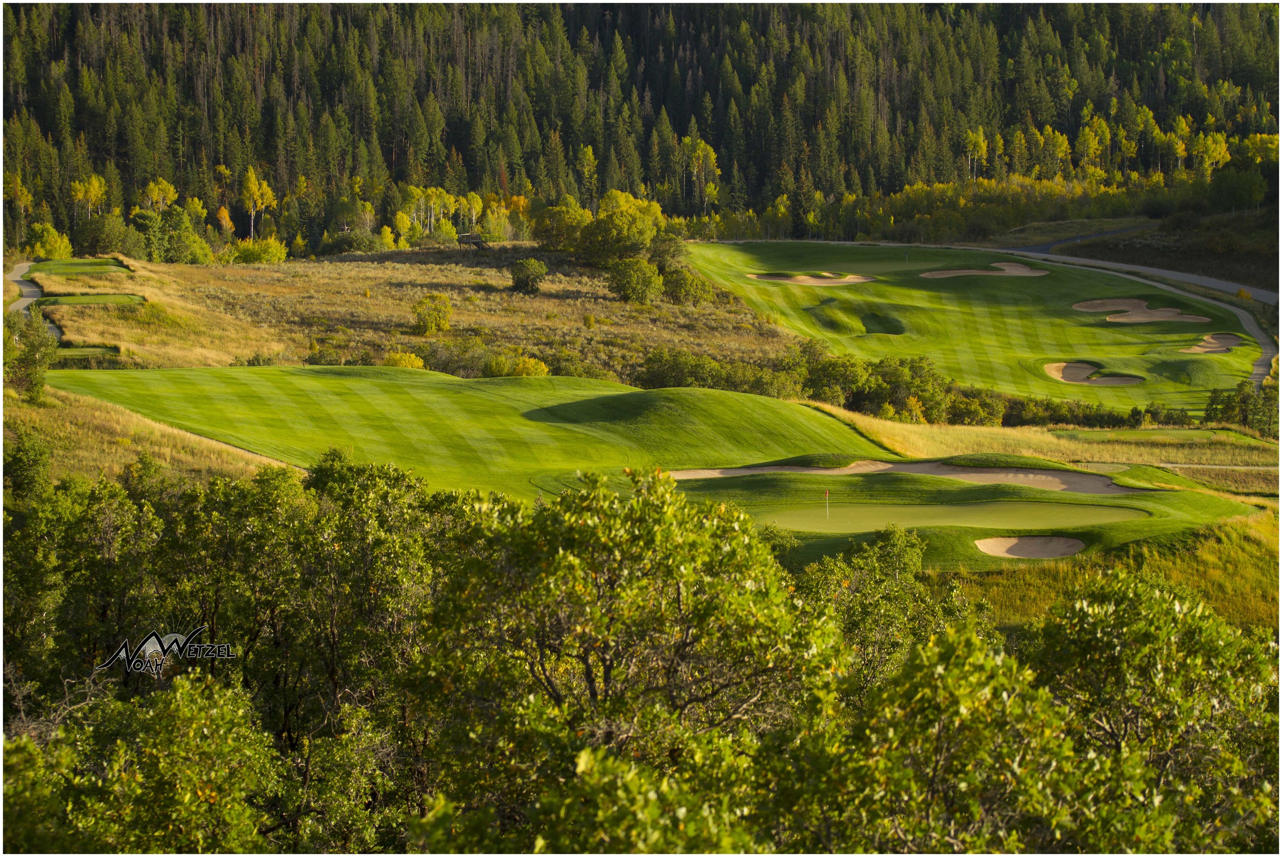 Hole 12 + 13 (View from Cart Path on Hole 15)