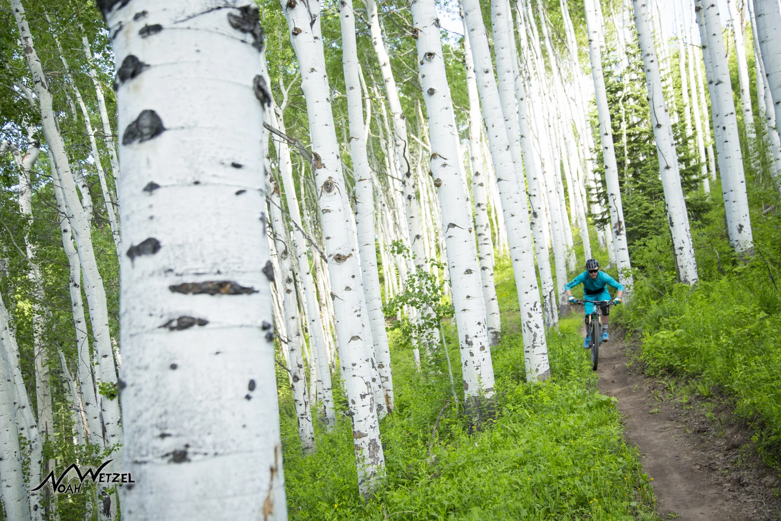 Justin Reiter riding Wild Rose on Emerald Mountain. Steamboat Springs, Colorado.