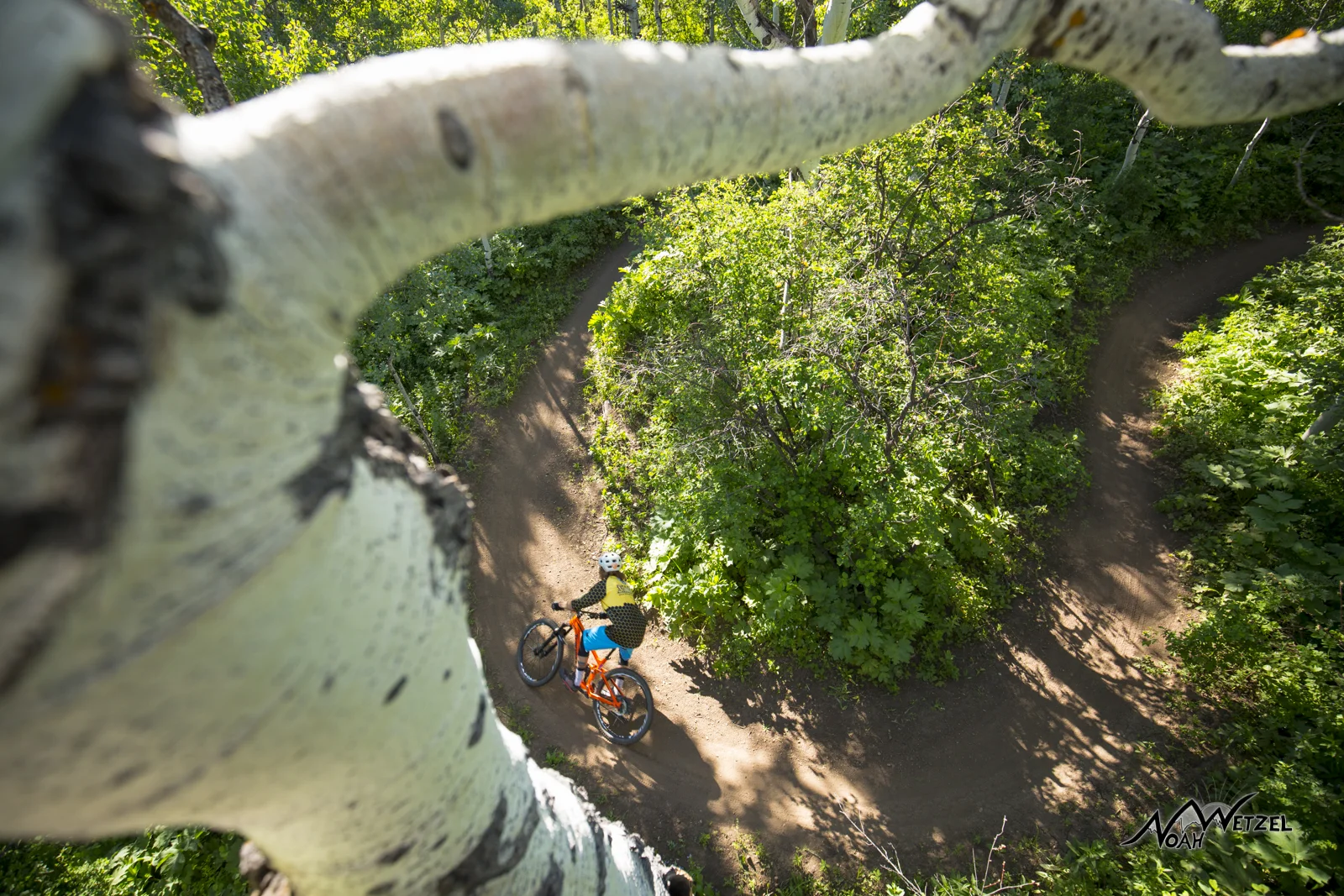 Mike Rundle ripping through a berm on NPR on Emerald Mountain. Steamboat Springs, Colorado