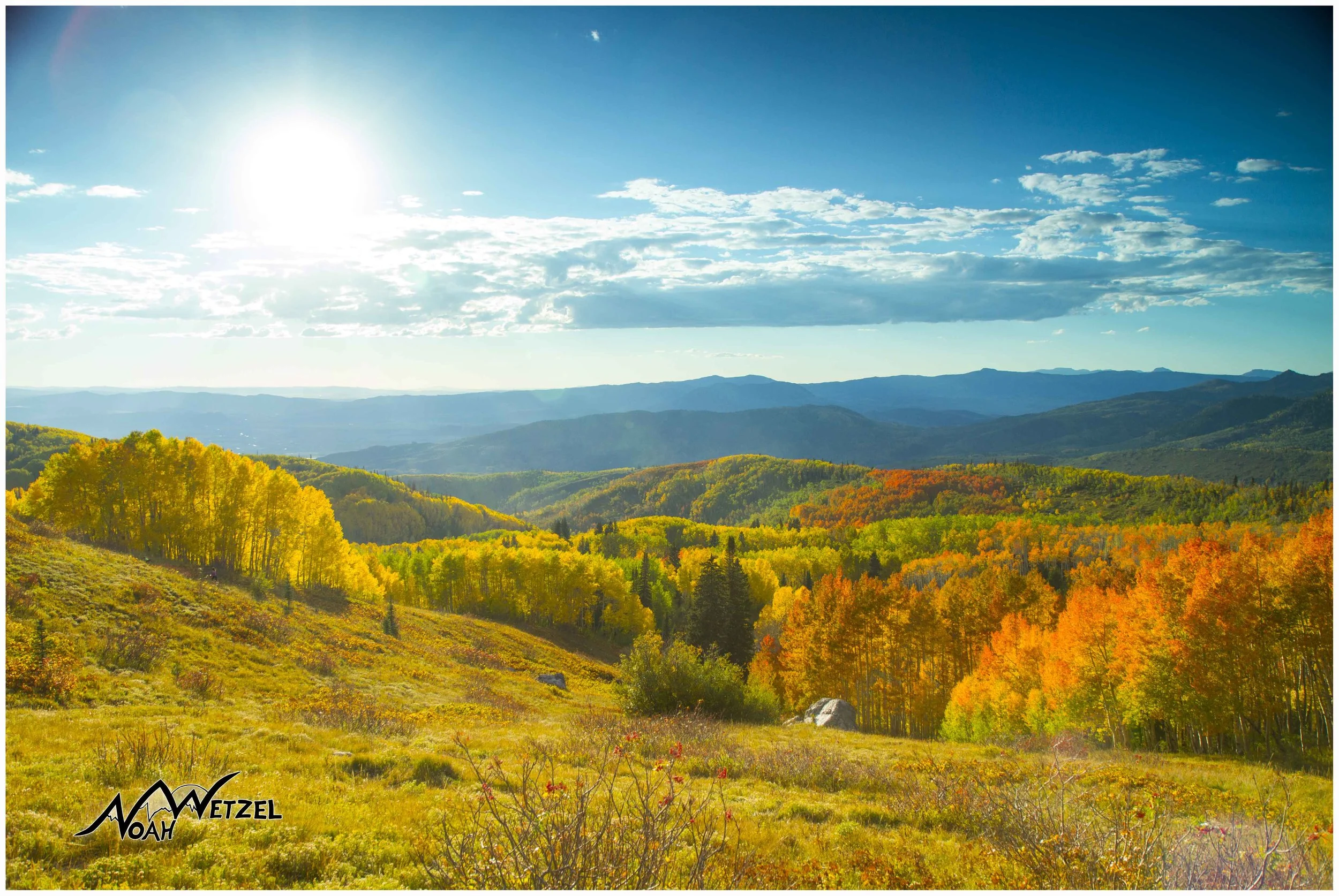 Beautiful fall colors grace the hillsides of Buffalo Pass outside Steamboat Springs, Colorado