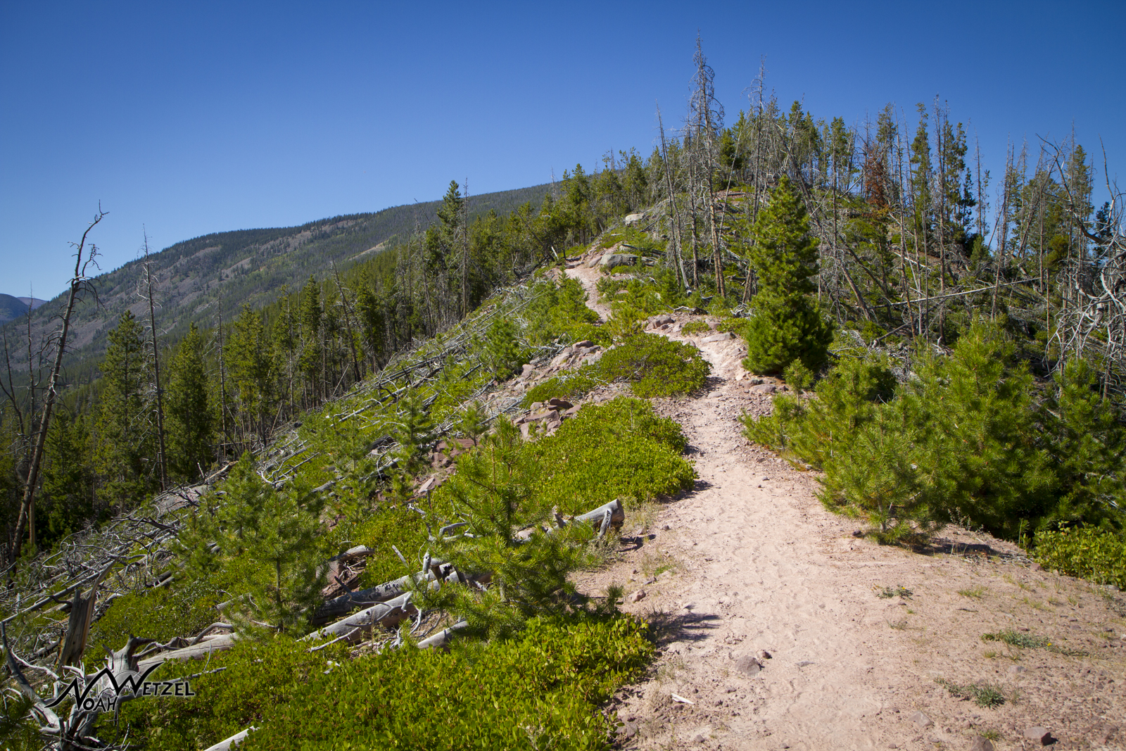 The first few miles on trail 056 in the High Uintas Wilderness. Utah. 
