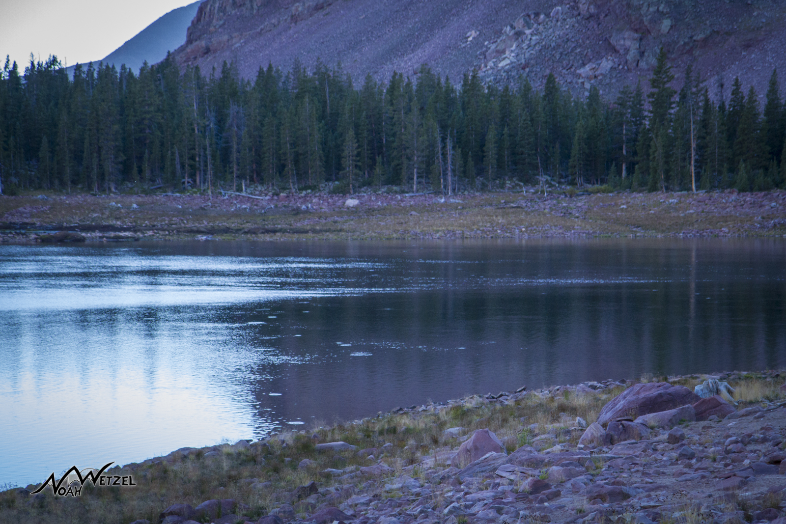 Fish a rising at sunset on East Timothy Lake. High Uintas Wilderness. Utah