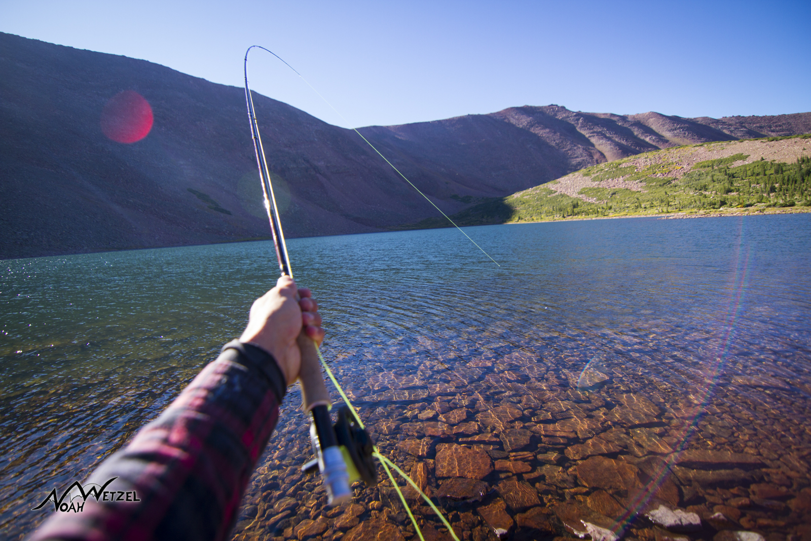 First cast catch at West Timothy Lake. High Uintas Wilderness. Utah
