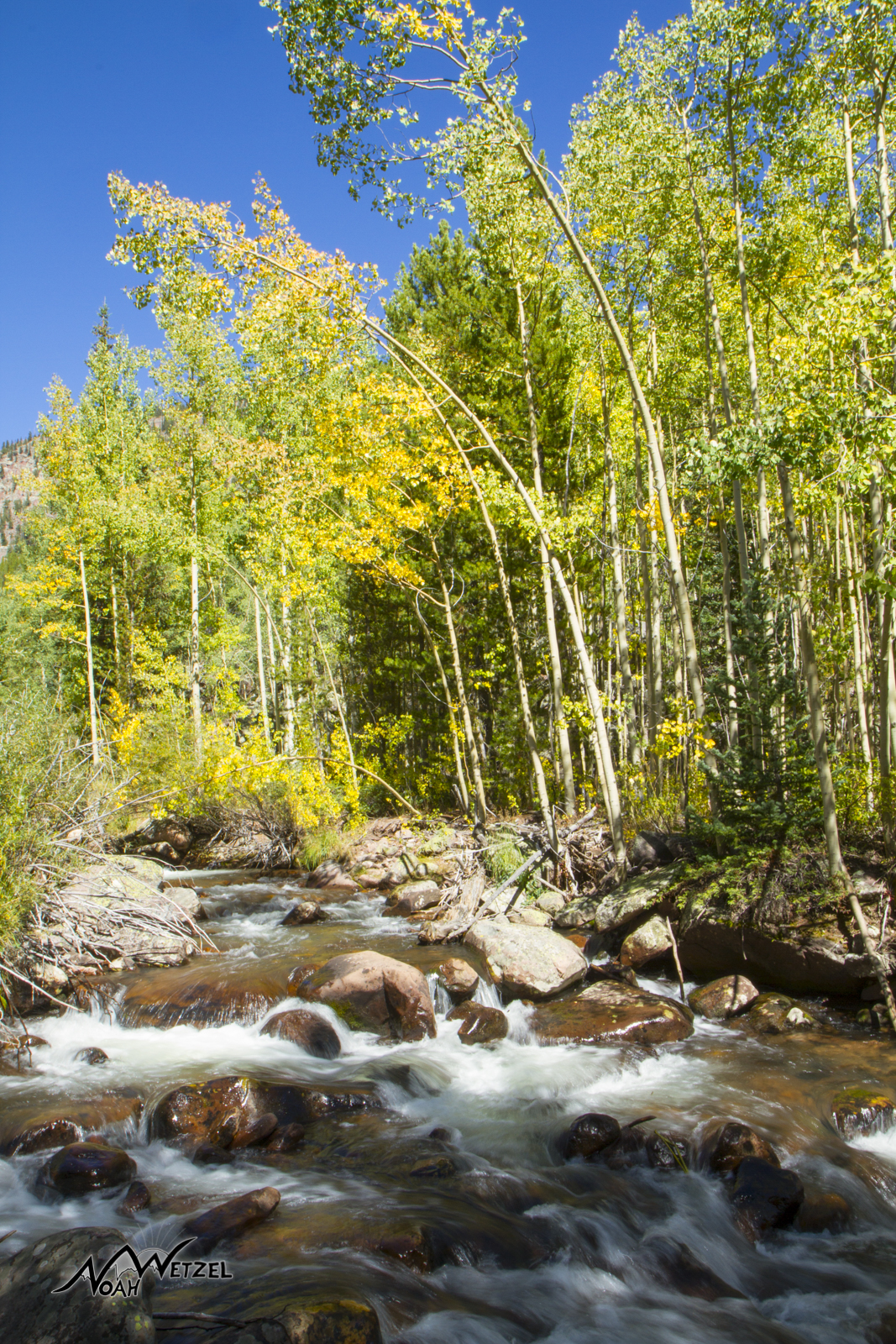 Trail 056. High Uintas Wilderness. Utah