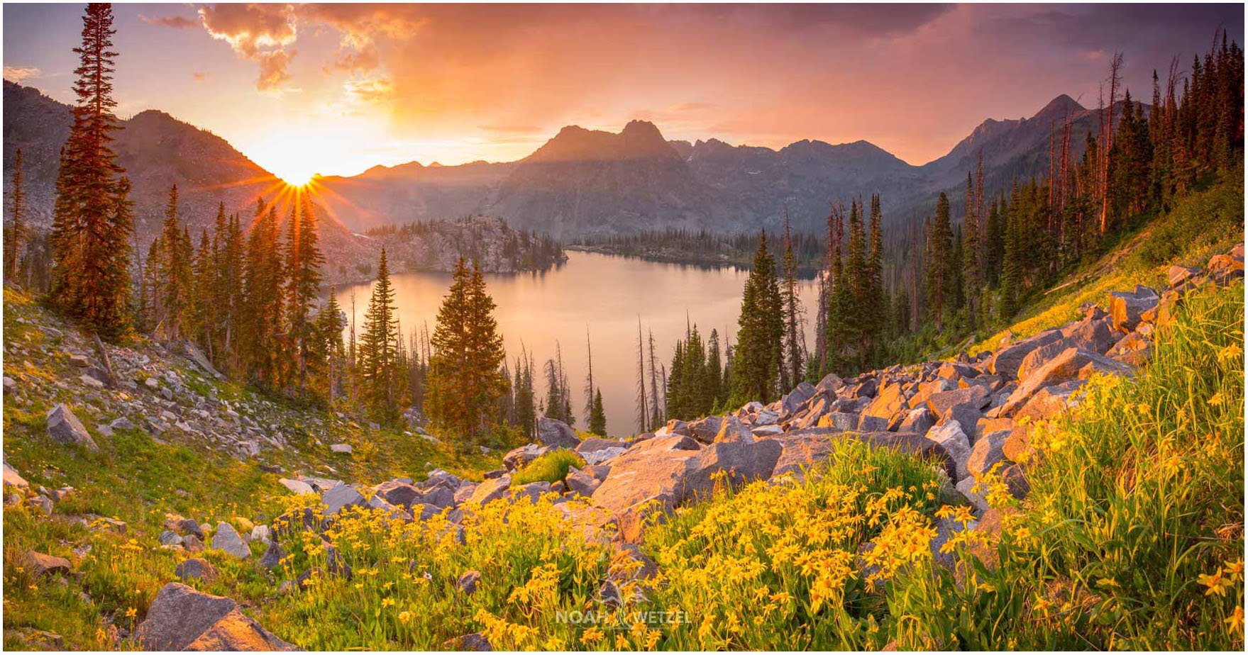 NoahWetzel_FineArtPhotography_IH5A4261-Edit-Edit-Enhanced_Gilpin Wildflower Summer copy.jpg