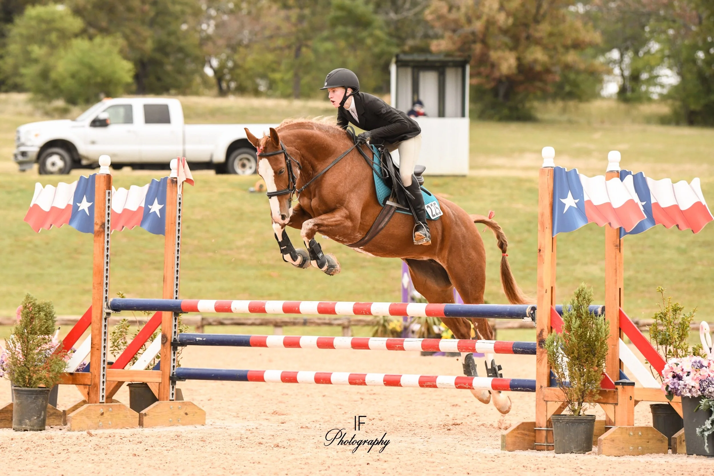 Moxie Hit BRB sold to Texas Alex X Sonntagskind 