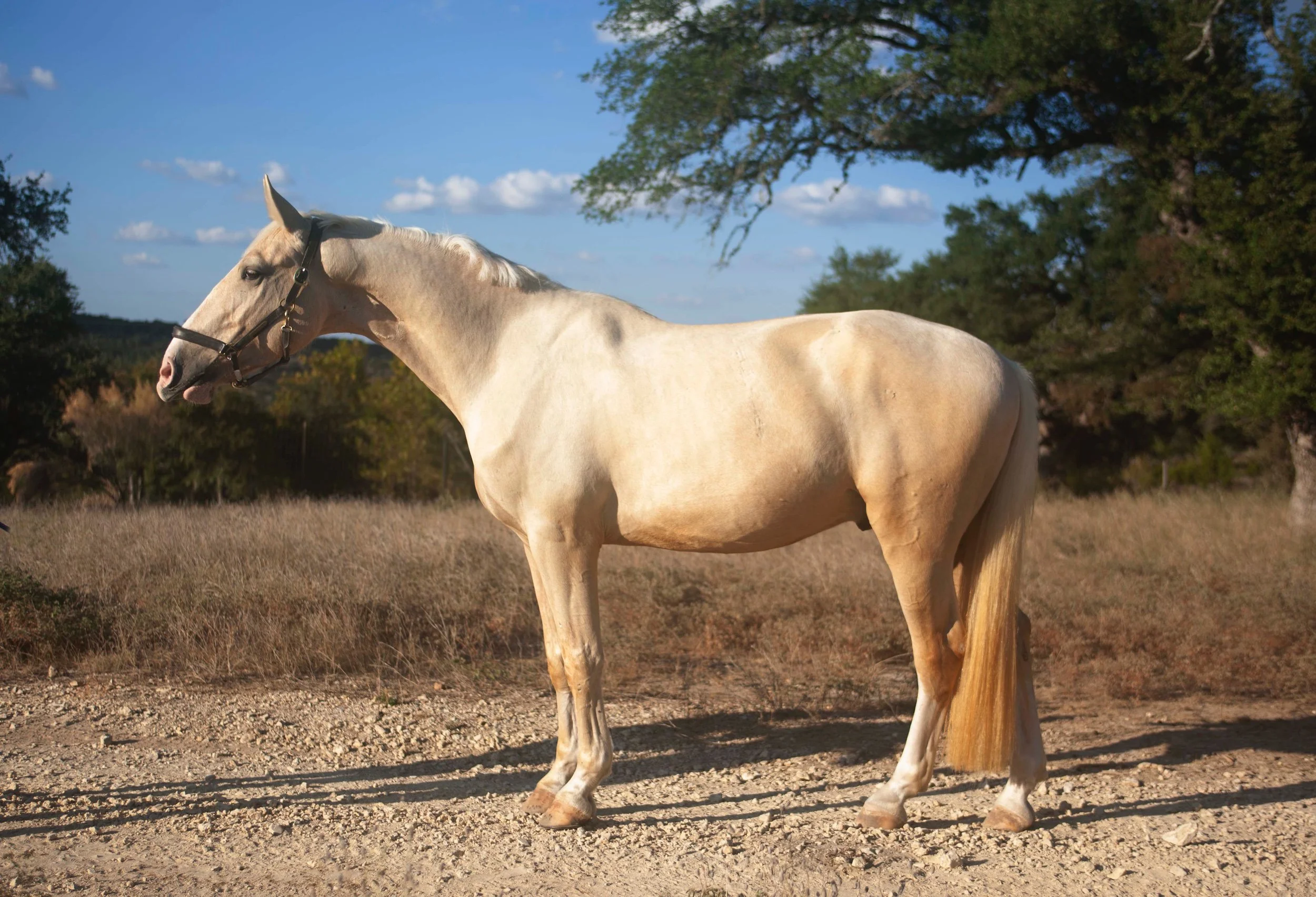 San Juanconfirmationshot.jpeg