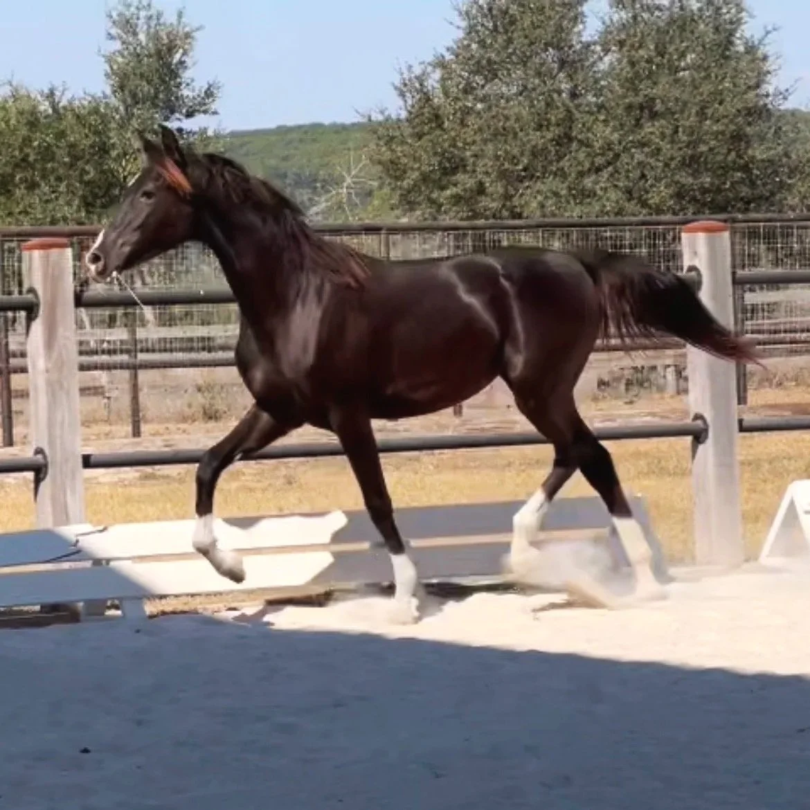 Umbra BRB sold to Texas