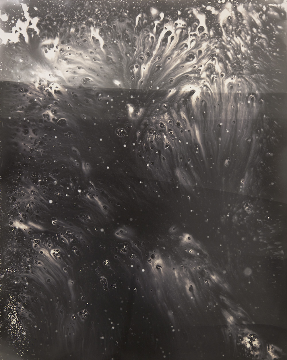  Toppled blossoms, Gelatin silver print, 20x16", 2016 