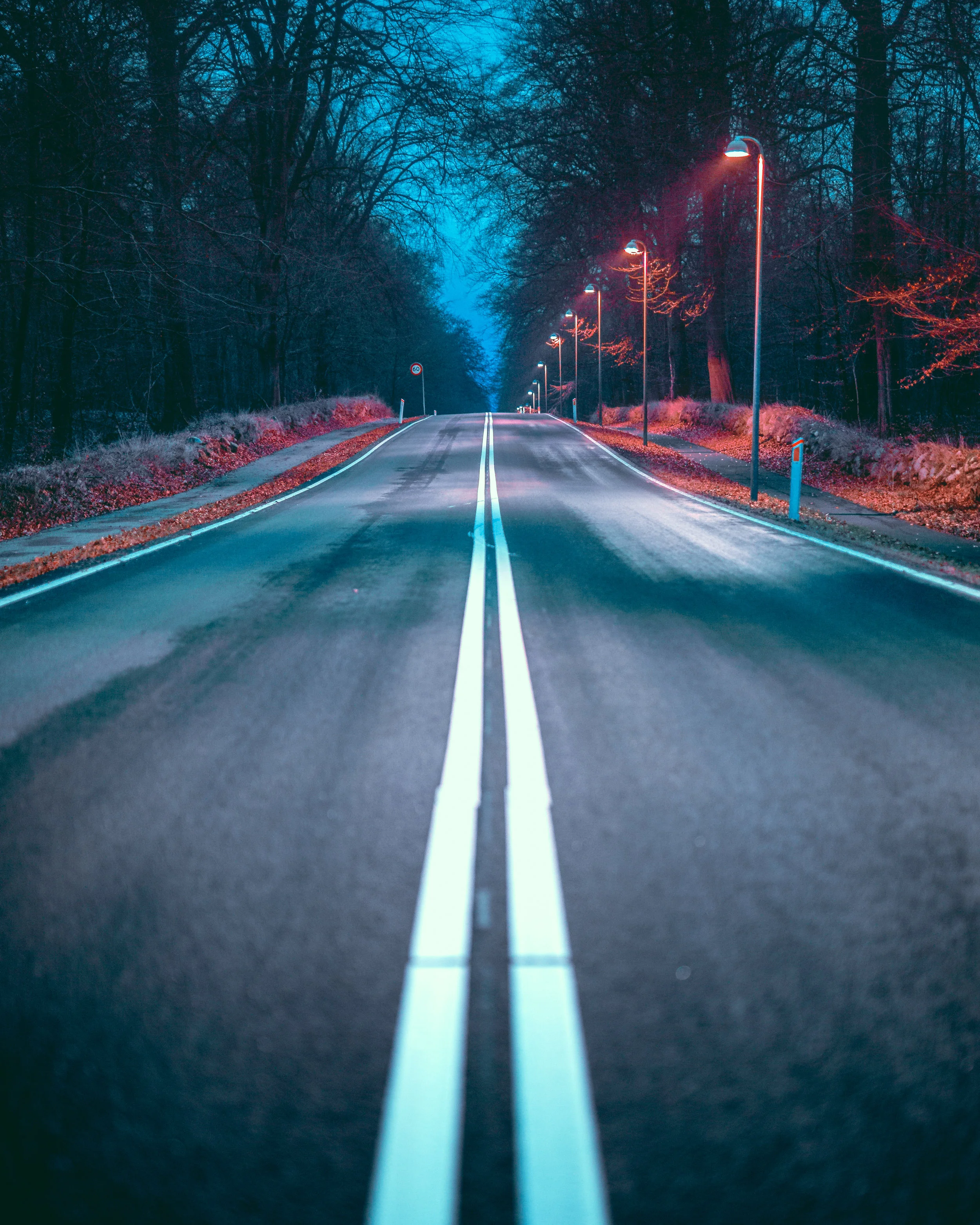 On our way down to the lake we intended to visit, we came across this lit road.