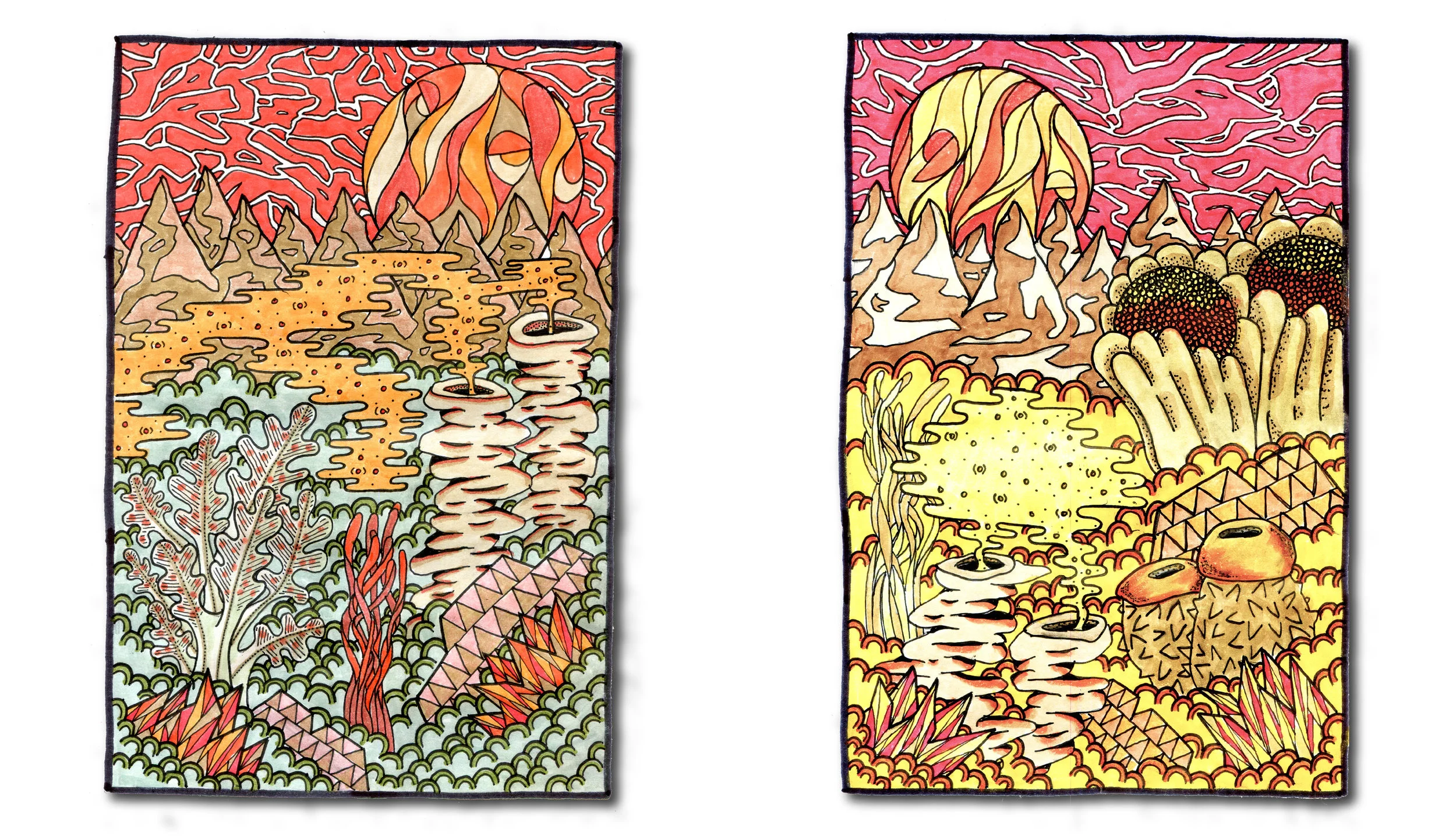 Color 2-01.jpg