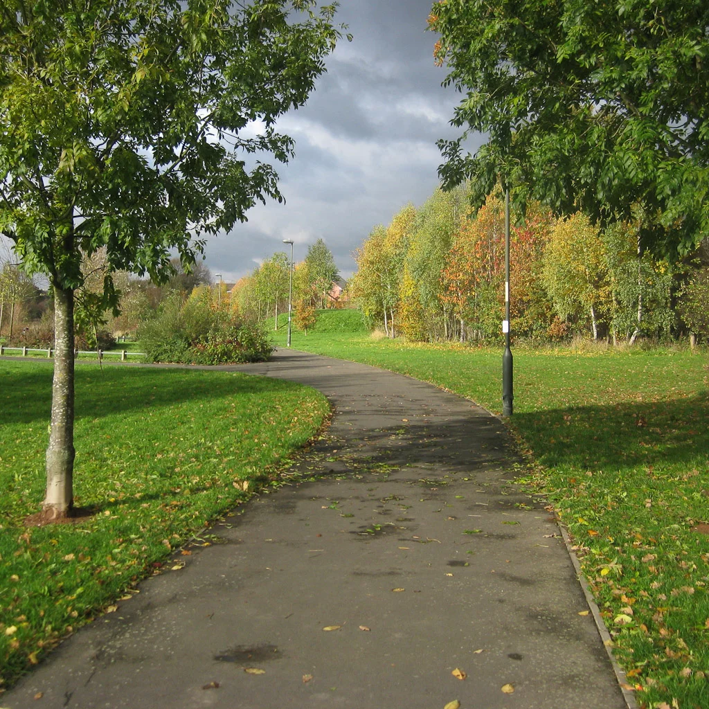 WOODLAND PLANTING