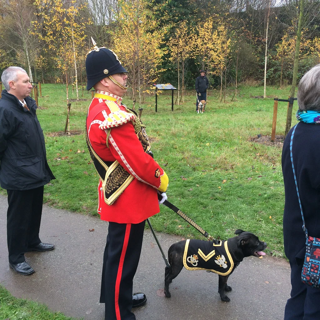 DOGS ON PARADE