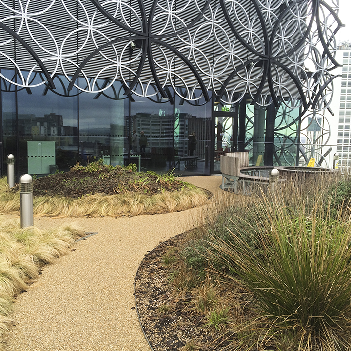 birmingham-library-roof-garden-landscape.png
