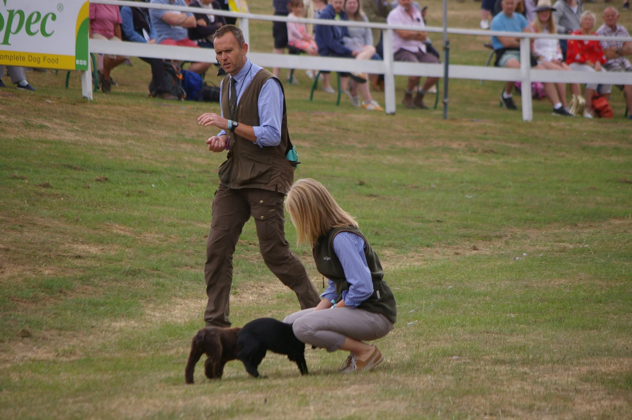 News — Gun Dog Training in Yorkshire