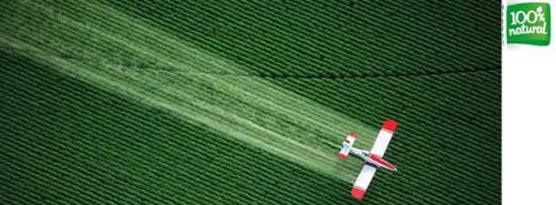 The Poison Fields You Might Be Wearing | Dante