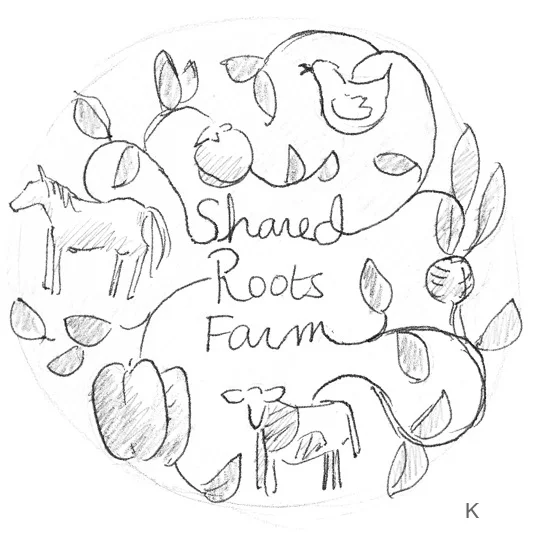 Why pay early for a CSA?