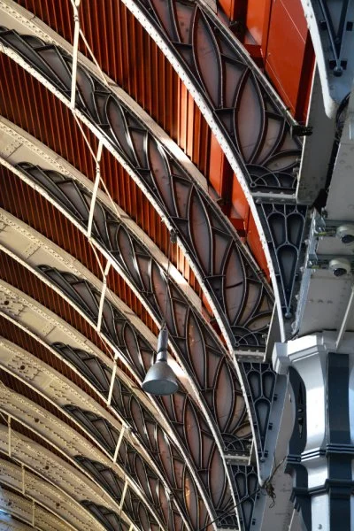 paddington1 resized.jpg