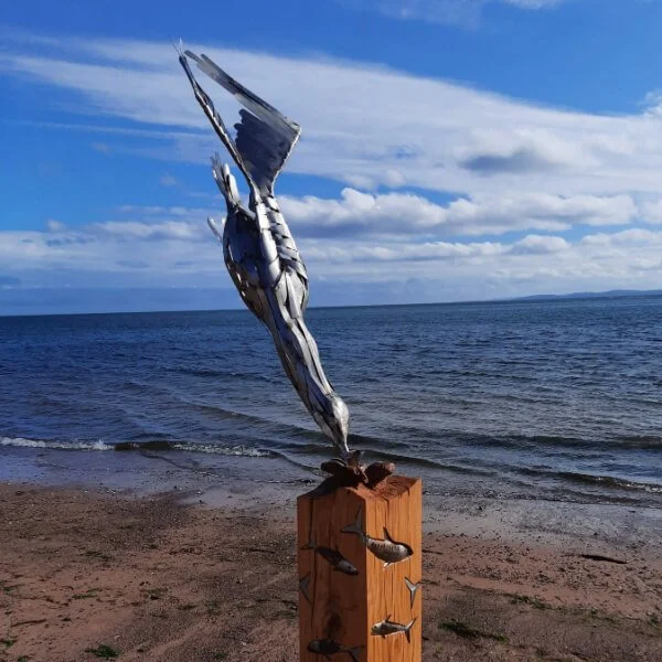 Gannet dive square (1).jpg